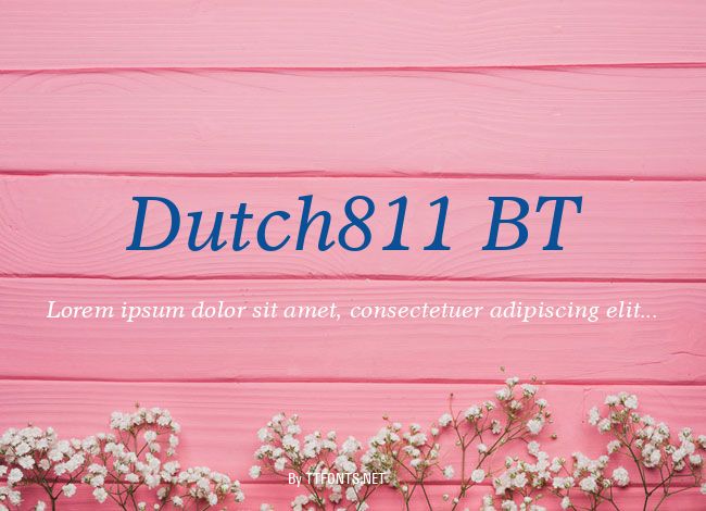 Dutch811 BT example